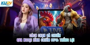 Cách chọn gà chuẩn qua ngoại hình chiếm 85% thắng lợi