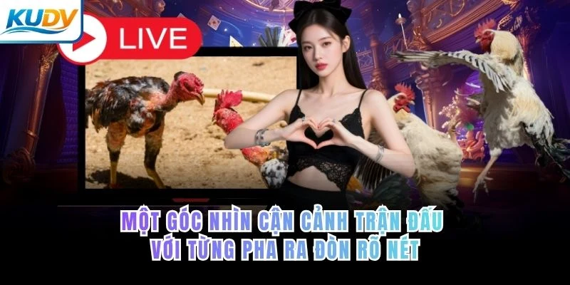Một góc nhìn cận cảnh trận đấu với từng pha ra đòn rõ nét