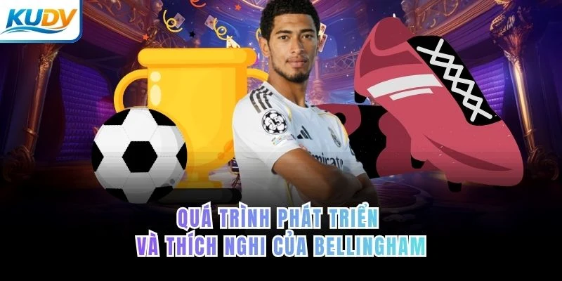 Quá trình phát triển và thích nghi của Bellingham