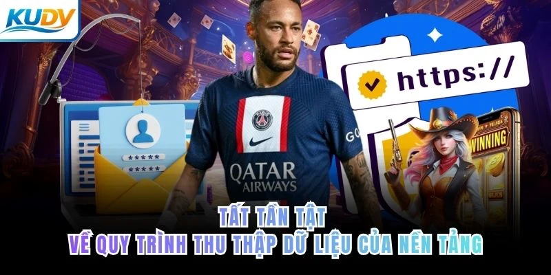 Tất tần tật về quy trình thu thập dữ liệu của nền tảng của KUDV